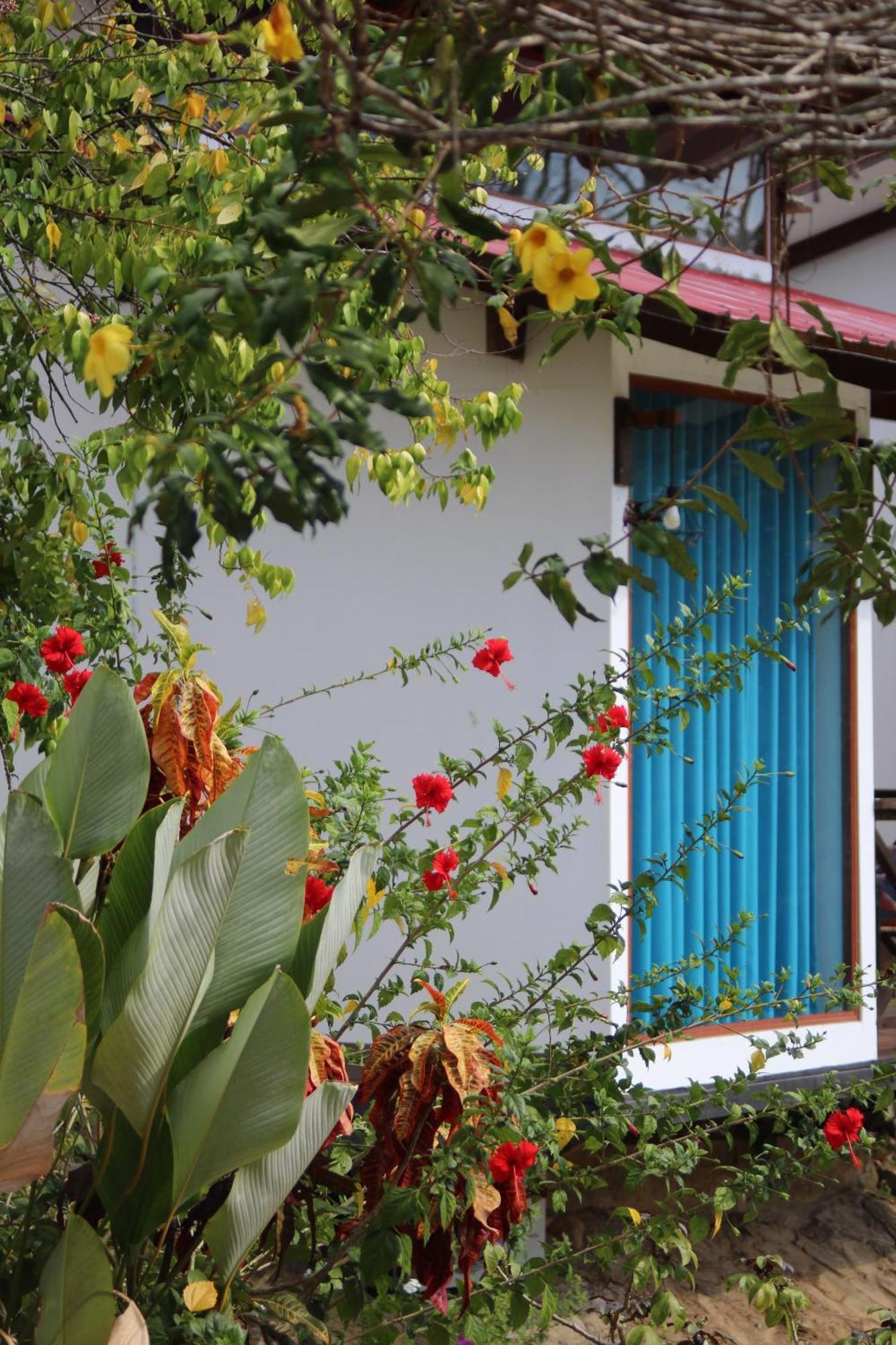 Hacienda Don Vicente Bungalows-Тарапото Екстериор снимка